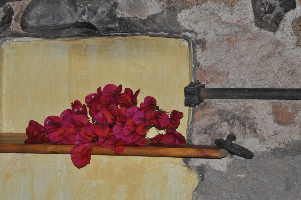 Can Masferrer Riudarenes المظهر الخارجي الصورة